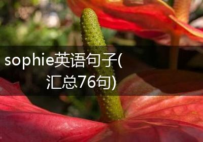 sophie英语句子(汇总76句)