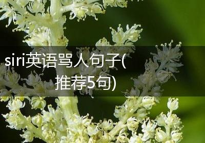 siri英语骂人句子(推荐5句)