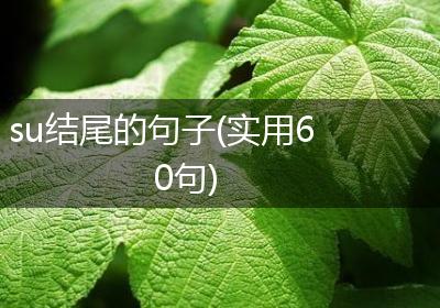 su结尾的句子(实用60句)