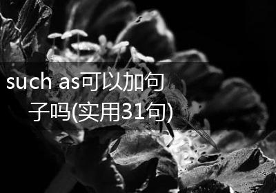 such as可以加句子吗(实用31句)