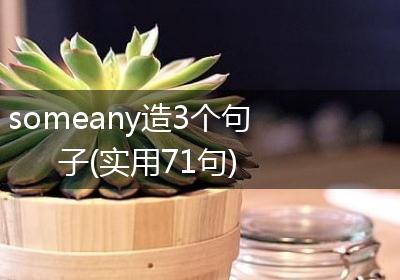 someany造3个句子(实用71句)