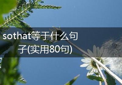sothat等于什么句子(实用80句)