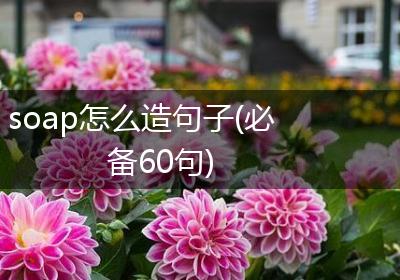 soap怎么造句子(必备60句)