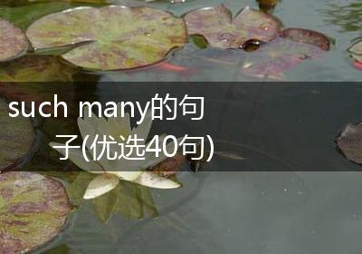 such many的句子(优选40句)