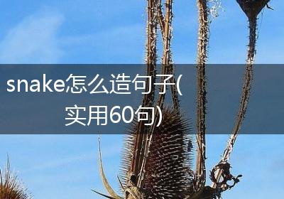snake怎么造句子(实用60句)