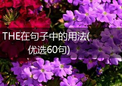 THE在句子中的用法(优选60句)