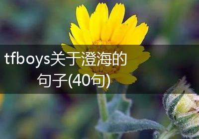 tfboys关于澄海的句子(40句)