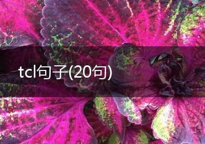 tcl句子(20句)