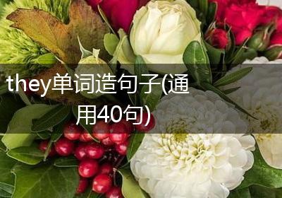 they单词造句子(通用40句)