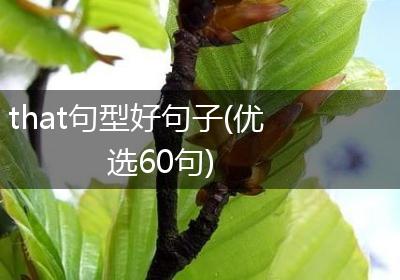 that句型好句子(优选60句)