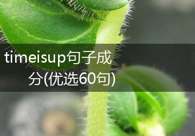 timeisup句子成分(优选60句)