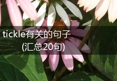 tickle有关的句子(汇总20句)