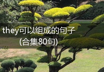 they可以组成的句子(合集80句)