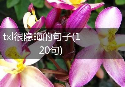 txl很隐晦的句子(120句)