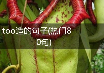 too造的句子(热门80句)