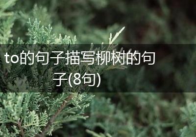 to的句子描写柳树的句子(8句)