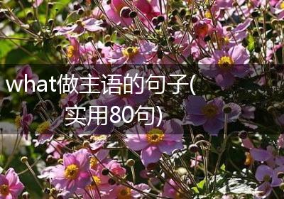 what做主语的句子(实用80句)