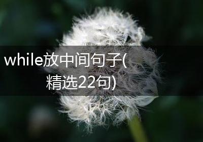 while放中间句子(精选22句)