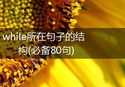 while所在句子的结构(必备80句)