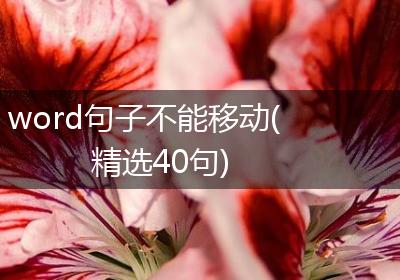 word句子不能移动(精选40句)