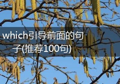 which引导前面的句子(推荐100句)