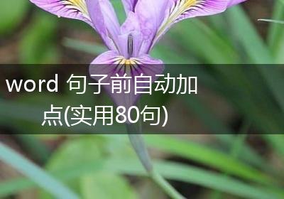 word 句子前自动加点(实用80句)