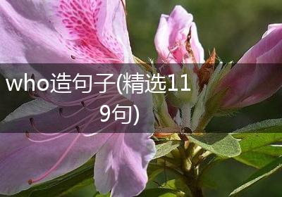 who造句子(精选119句)