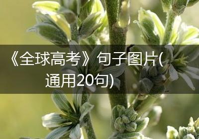 《全球高考》句子图片(通用20句)