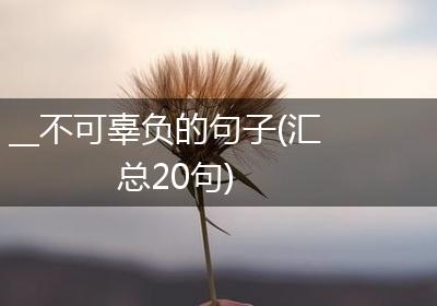__不可辜负的句子(汇总20句)
