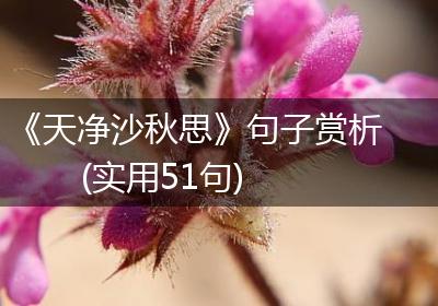 《天净沙秋思》句子赏析(实用51句)