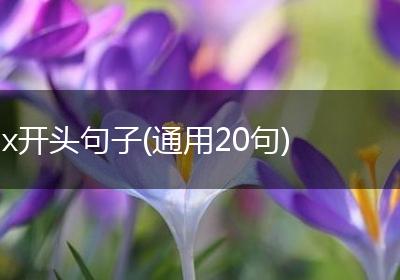 x开头句子(通用20句)