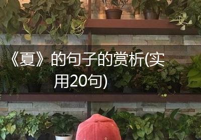 《夏》的句子的赏析(实用20句)