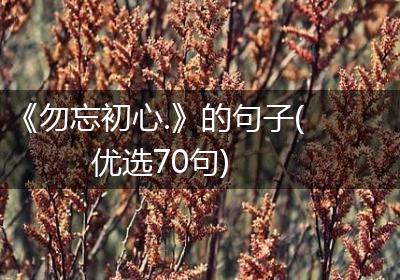 《勿忘初心.》的句子(优选70句)