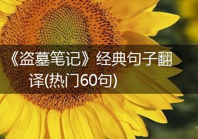 《盗墓笔记》经典句子翻译(热门60句)
