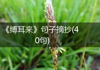《缚耳来》句子摘抄(40句)