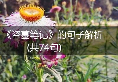 《盗墓笔记》的句子解析(共74句)
