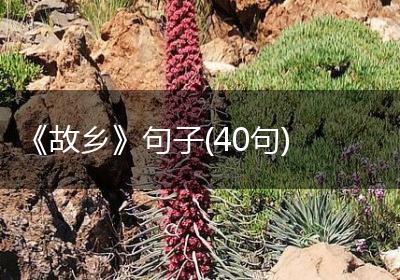 《故乡》句子(40句)