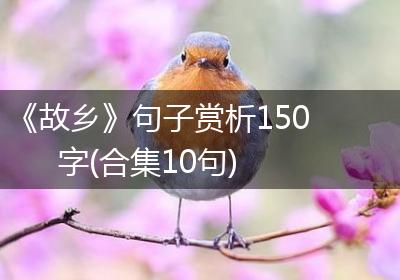 《故乡》句子赏析150字(合集10句)