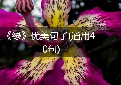 《绿》优美句子(通用40句)