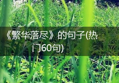 《繁华落尽》的句子(热门60句)