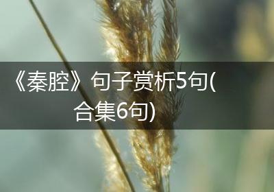 《秦腔》句子赏析5句(合集6句)