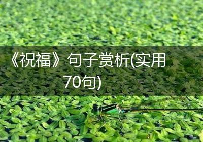 《祝福》句子赏析(实用70句)