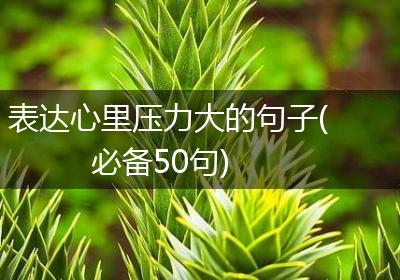 表达心里压力大的句子(必备50句)