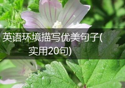 英语环境描写优美句子(实用20句)