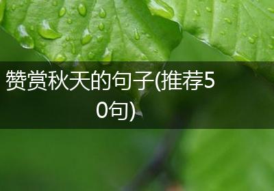 赞赏秋天的句子(推荐50句)