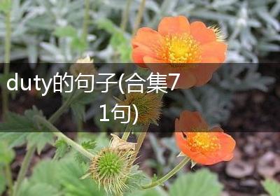duty的句子(合集71句)