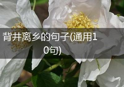 背井离乡的句子(通用10句)