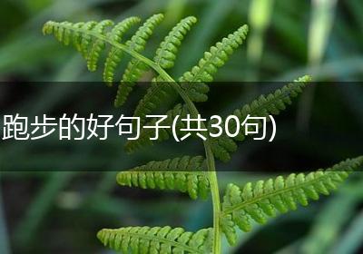 跑步的好句子(共30句)