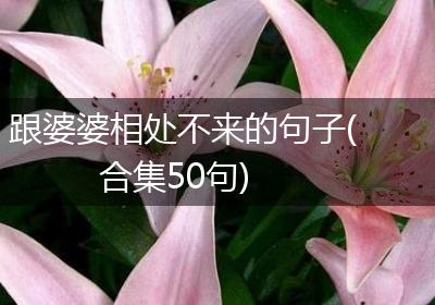 跟婆婆相处不来的句子(合集50句)