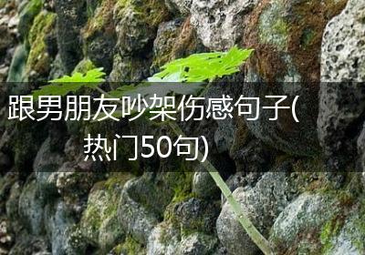 跟男朋友吵架伤感句子(热门50句)